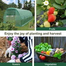 Reinforced Walk In Polytunnel  Outdoor Garden Greenhouse 2m/3m/4m/6m