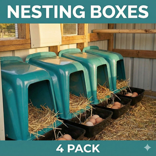 Rollaway nest box chicken - box,