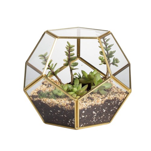 Ncyp geometric glass terrarium - geometric,