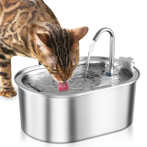 Cat water fountain for - fountain,