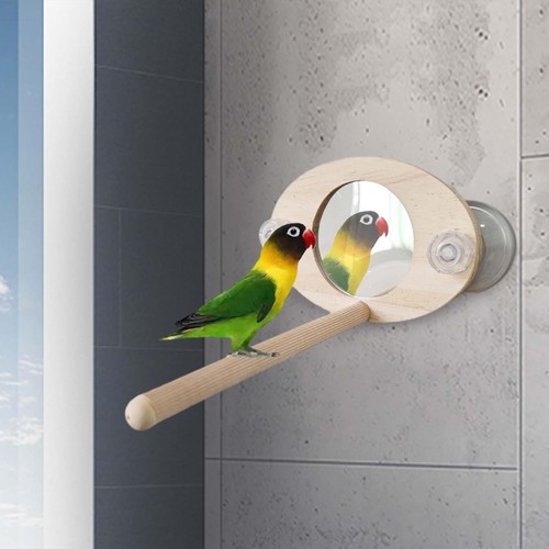 Parrot mirror toy durable - toy, play