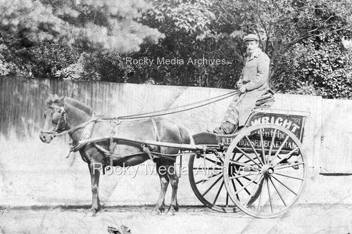 Nre horse trap of - horse, &