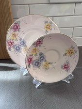 Vintage Plant Tuscan China