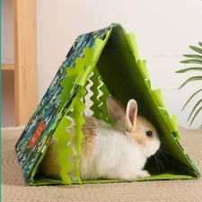 Guinea Pig Hiding House Summer