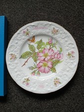 Vintage Coalport Mothers Day Plate 1981 Wild Rose 4th edition 9"