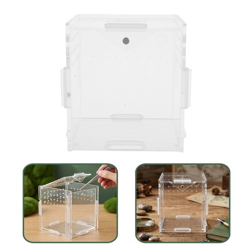 Pack reptile terrarium - reptile,