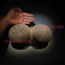 Pair Dinosaur Egg Nest