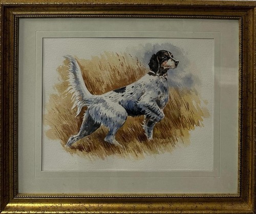 Hoskins english setter - hoskins,