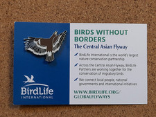 STEPPE EAGLE Birdlife Charity