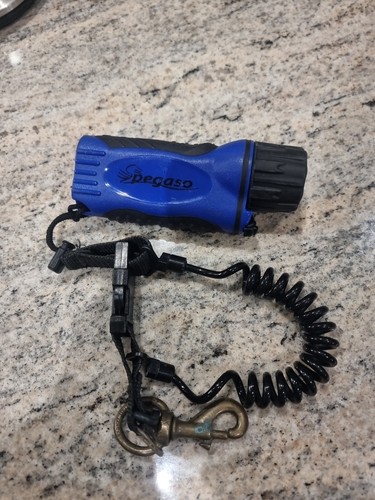 Pegaso underwater dive - underwater, torch