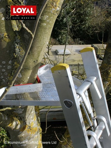 Universal aluminium ladder - universal,
