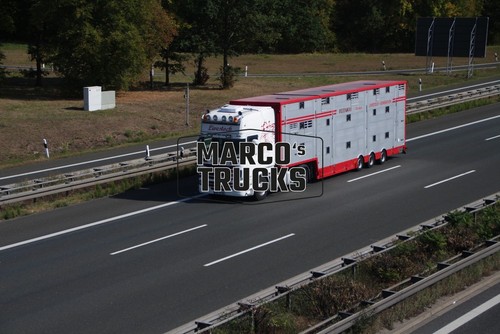 Truck photo scania cattle - scania,