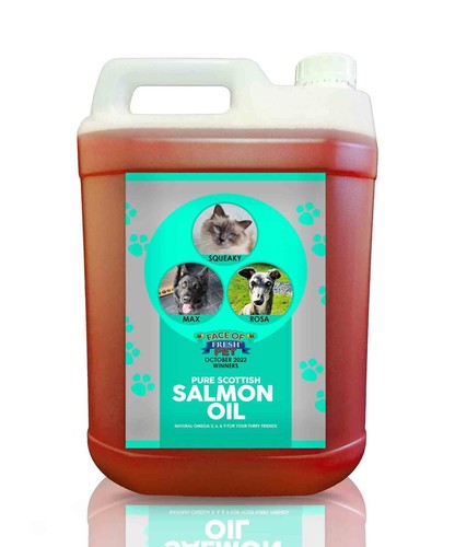 Salmon oil for dogs cats - salmon,