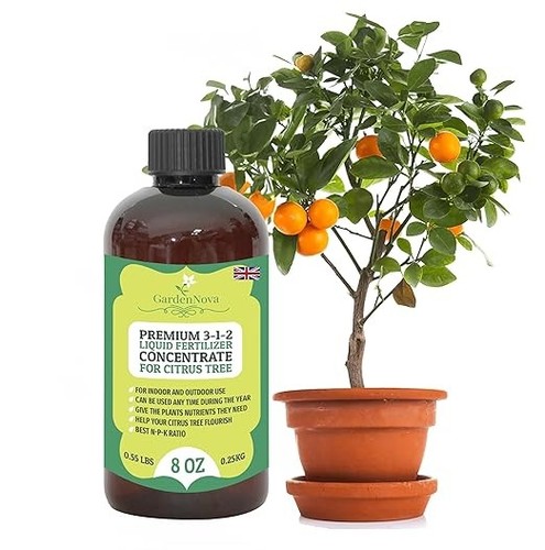 Gardennova citrus tree liquid - tree,