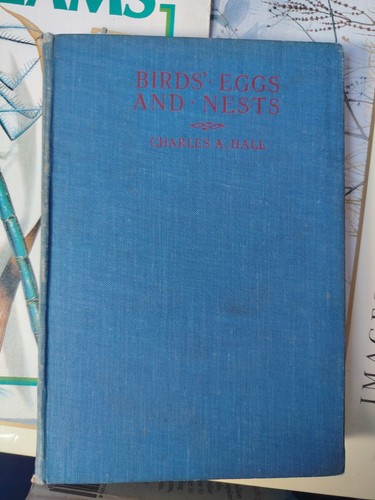 Birds eggs and nests - eggs,