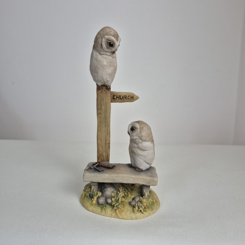 Teviotdale barn owls - teviotdale, chuch