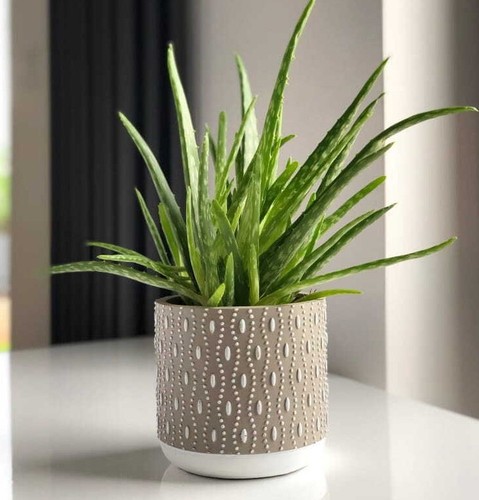Flower pot home decor gift - pot,