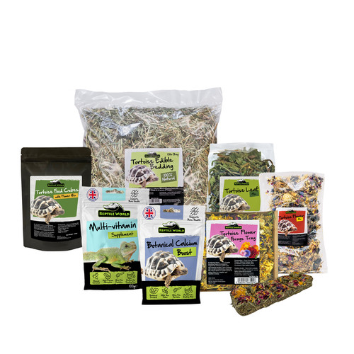 Reptile world tortoise food - world,