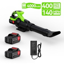 3000W 21V Cordless Electric