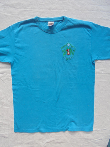 Girl guides guiding - guides,