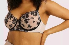 PLAYFUL PROMISES CURVE