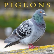 Pigeons 2026 Calendar Gift Birds Wall 15% OFF MULTI ORDERS