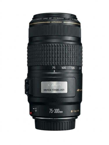 Canon 300 usm afmf - 75-300, usm.
