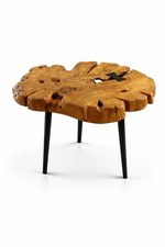 Hundreds Of Years Old Olive