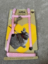 Rabbit Harness & Lead Set 