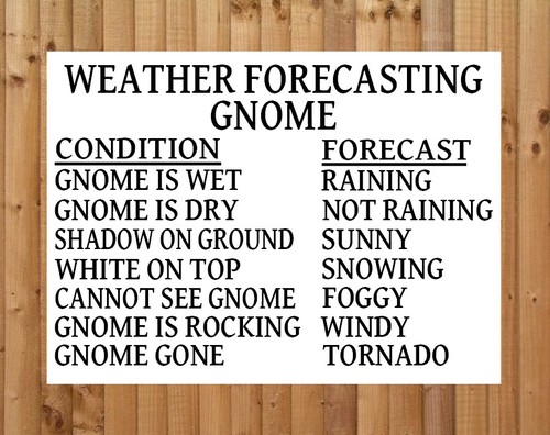 Weather forecasting gnome - forecasting,