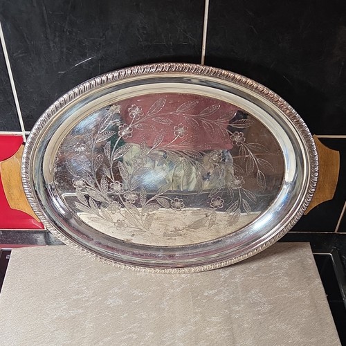 48cm picquot england - 48cm,