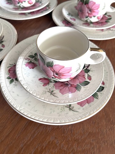 Brexton vintage picnic set - picnic,