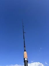 Shakespeare Omni x Fishing Rod