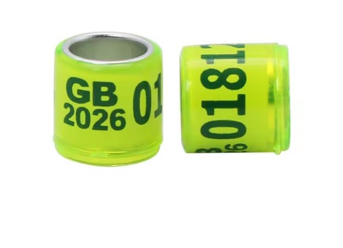 Pack gb26 2026 - of, 20