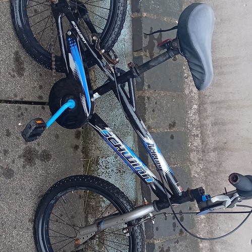 Schwin bicycle for kids - ,