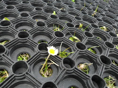 Gateway grass mat 1000mm - gateway,