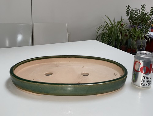 Large shallow bonsai pot - large, new