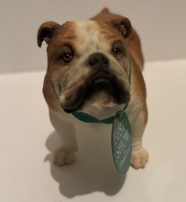 Leonardo Collection Bulldog Figure Ornament Resin Collectable Bull Dog Statue