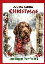 Italian Spinone Dog Christmas Card A6 (4"x 6") (Blank inside) by Starprint