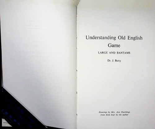 Understanding old english game - old,