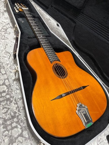 Stringphonic advanced fvs - advanced,