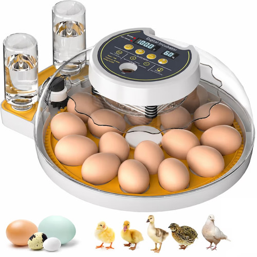 Triwind egg incubator - 18-60,