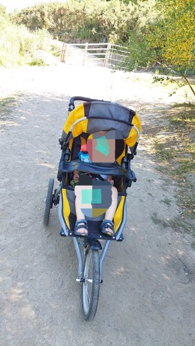 Bob ironman running buggy