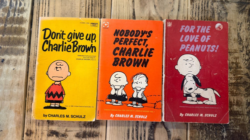 Vintage charlie brown - vintage, book