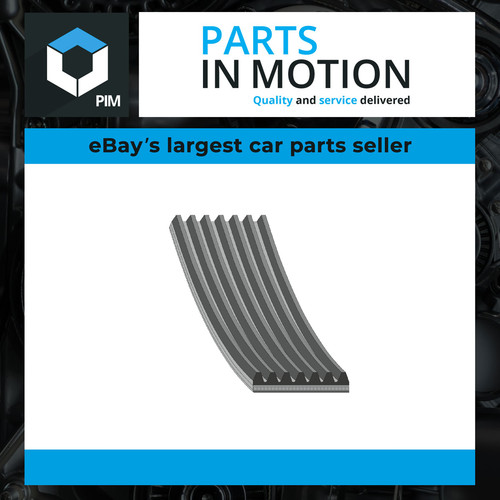 Rib multi drive belt fits - rib,