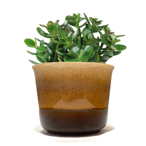 Bay keramik 653 planter - keramik,
