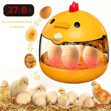 Eggs Incubator USB Powered