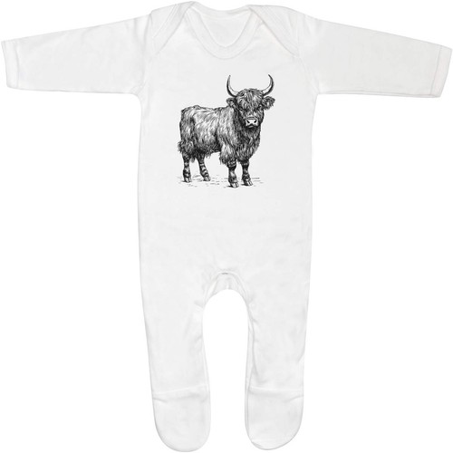 Highland cow standing - standing', baby