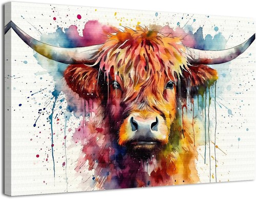 Highland cow canvas - highland,