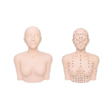 Training Mannequin Face Head